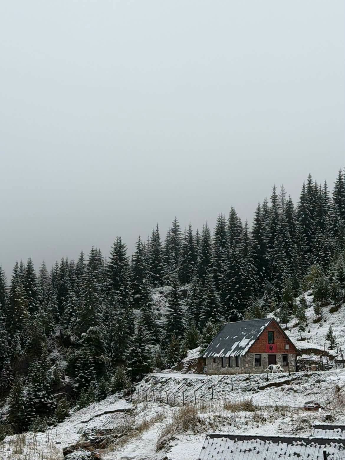 Bjeshkët e Junikut sot… ❄️🤍 - Foto 2