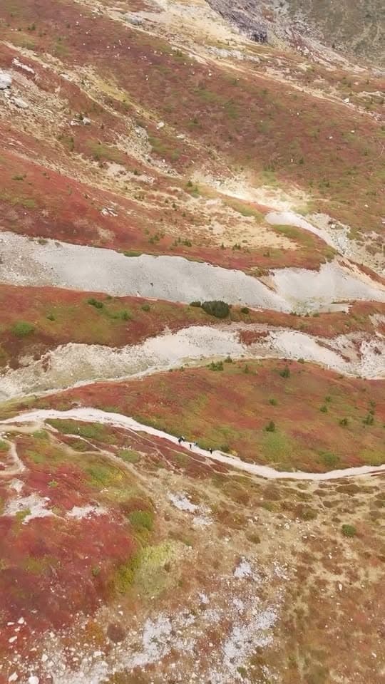 Good Morning from Gjeravica ⛰️🐐